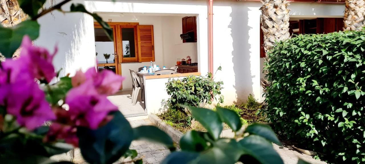 Ninfa Sul Mare Apartments 50 M E T R I Dal Mare Parcheggio Gratuito Custodito Capo Vaticano Zewnętrze zdjęcie