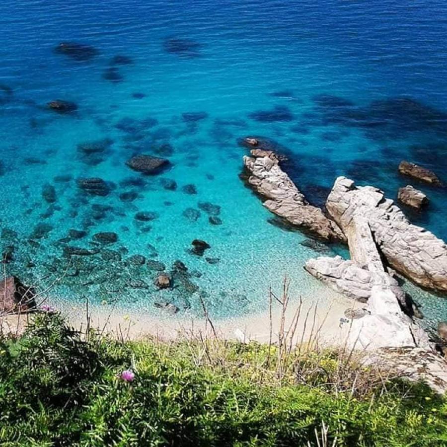 Ninfa Sul Mare Apartments 50 M E T R I Dal Mare Parcheggio Gratuito Custodito Capo Vaticano Zewnętrze zdjęcie